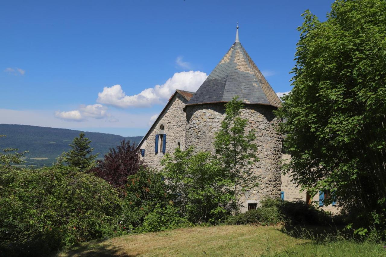 Chateau De Sothonod Экстерьер фото